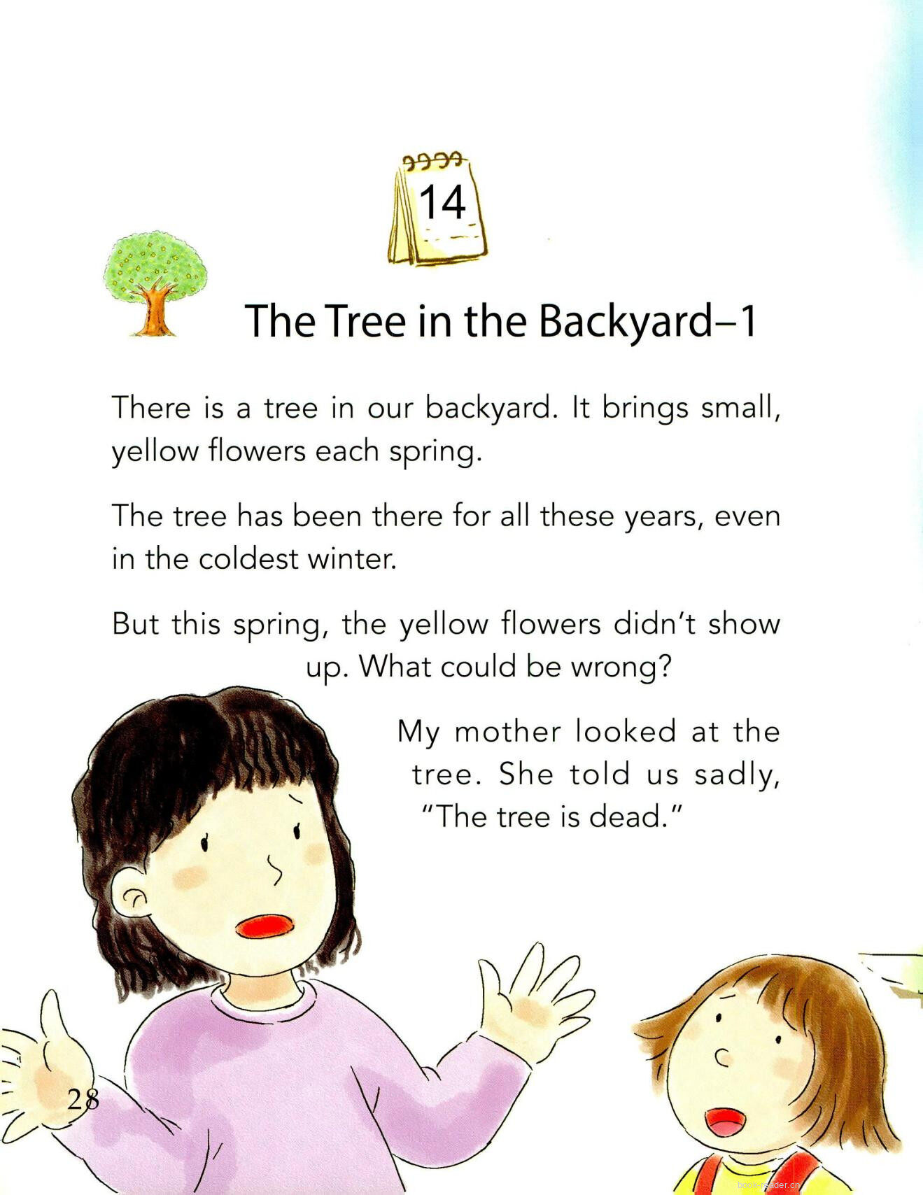 The Tree in the Backyard-1绘本故事第2页