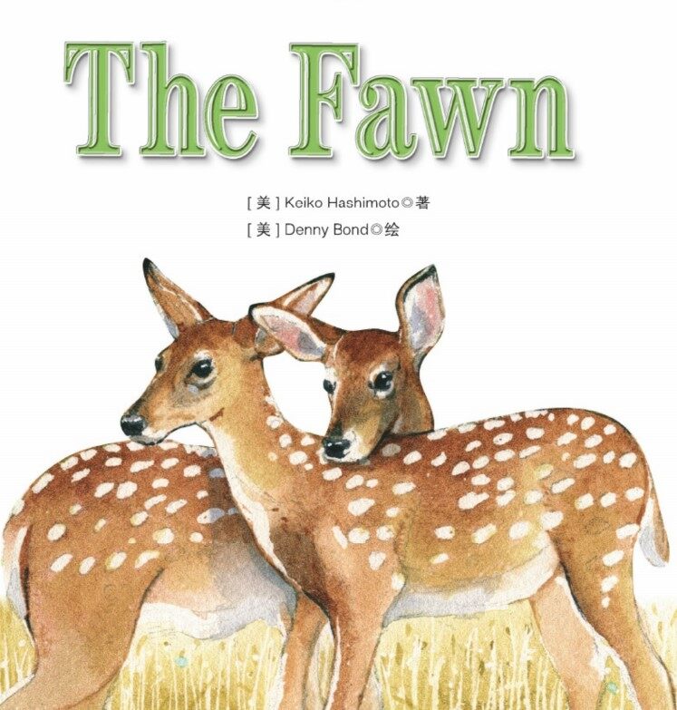 The Fawn绘本故事第2页