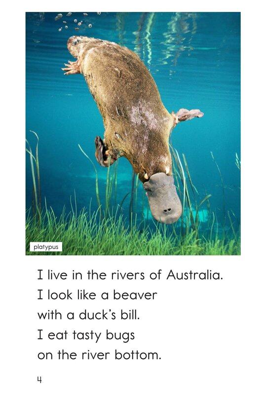 Are You From Australia绘本故事第4页