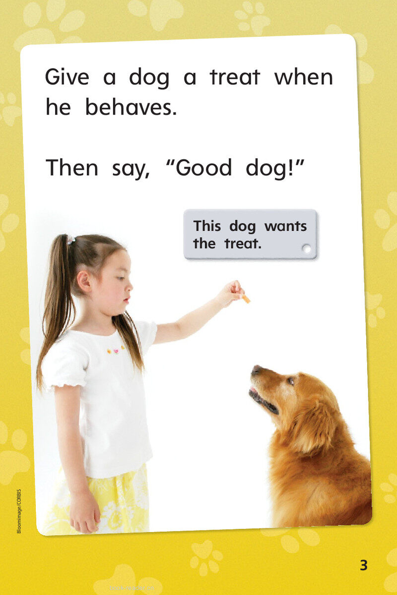 G1 App U4W5 Teach a Dog!绘本故事第5页