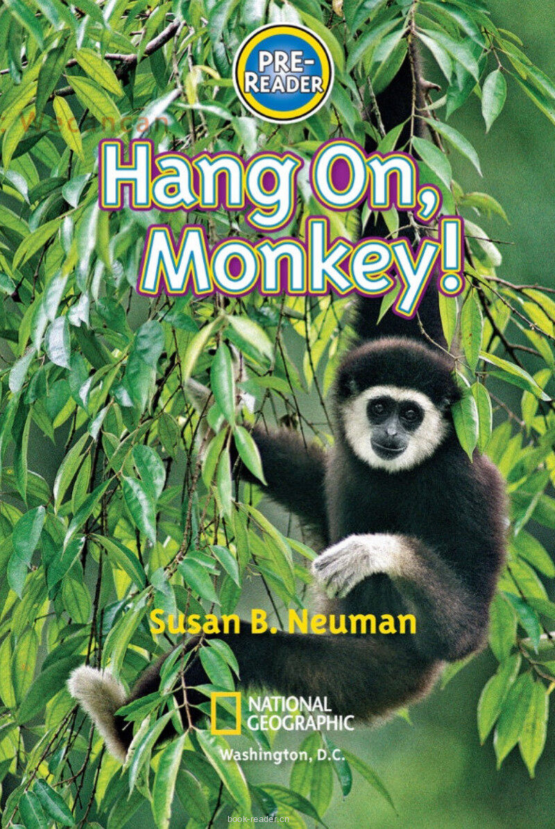 Hang On Monkey绘本故事第2页