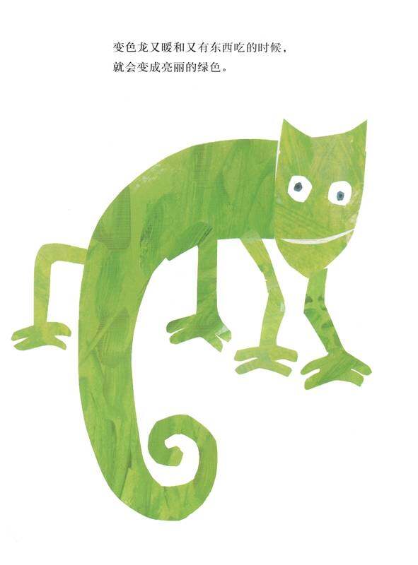 拼拼凑凑的变色龙绘本故事第3页