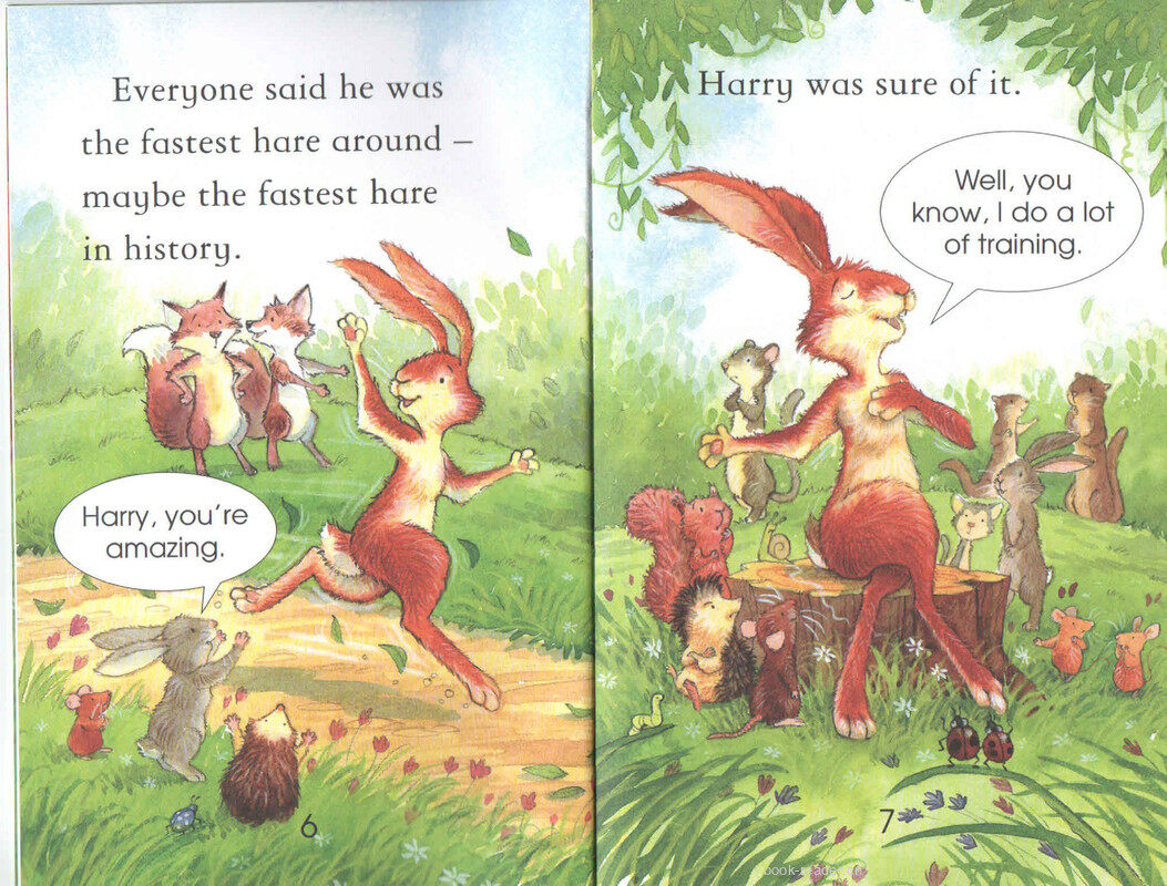The Hare and The Tortoise绘本故事第5页