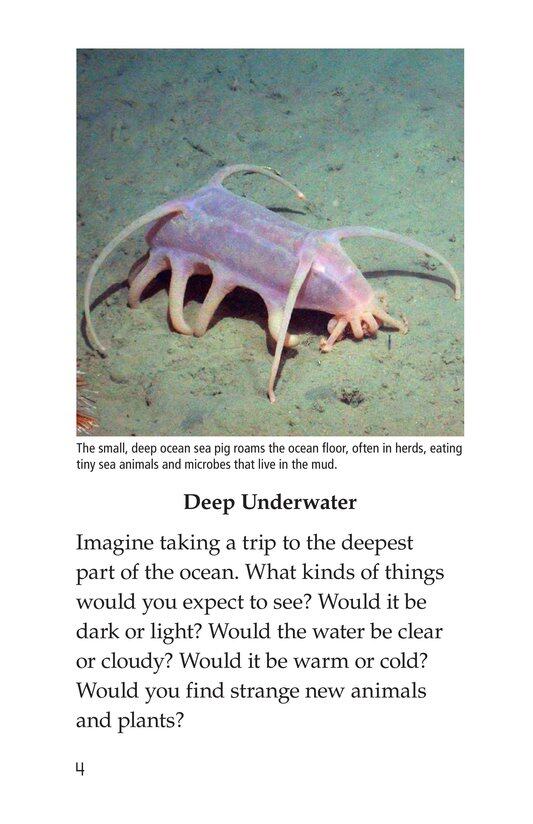 Deep in the Ocean绘本故事第3页