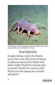Deep in the Ocean绘本故事第3页