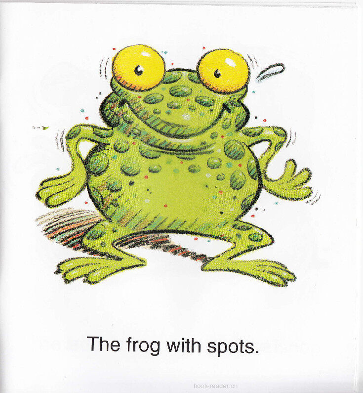Frog Cops绘本故事第4页