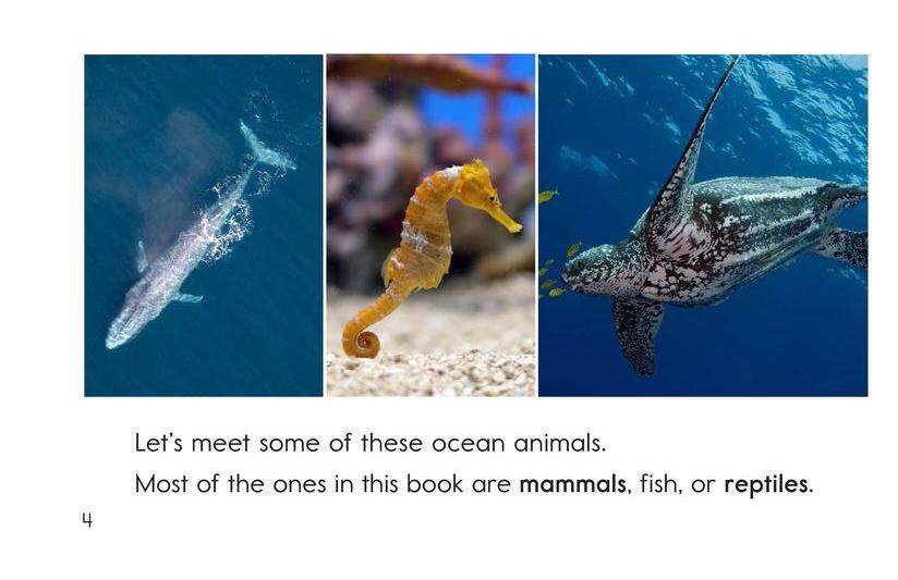 Ocean Animals绘本故事第4页