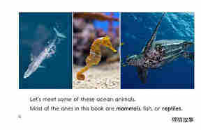 Ocean Animals绘本故事第4页