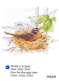 The Baby Robins绘本故事第4页