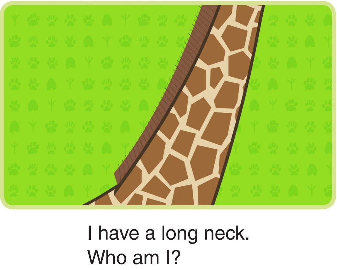 Who Am I?绘本故事第2页