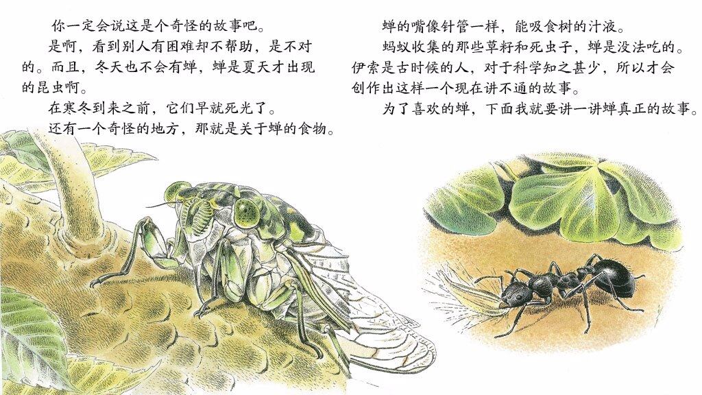 歌唱夏天的精灵蝉绘本故事第5页