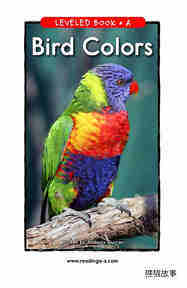 Bird Colors