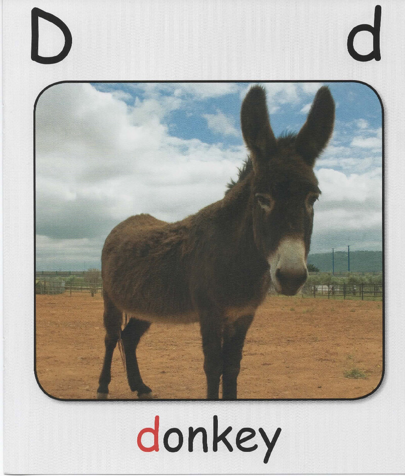 D绘本故事第5页