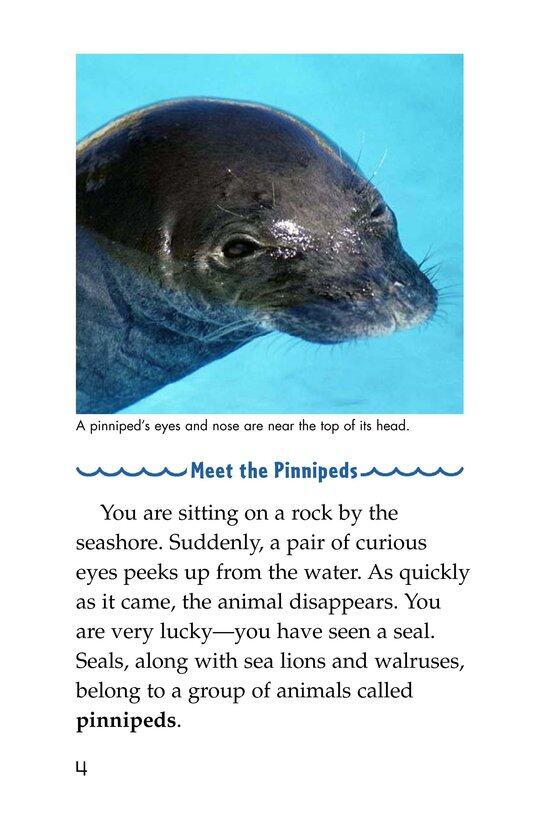 Seals,Sea Lions,and Walruses绘本故事第3页