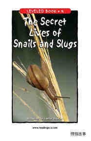 The Secret Lives of Snails and Slugs