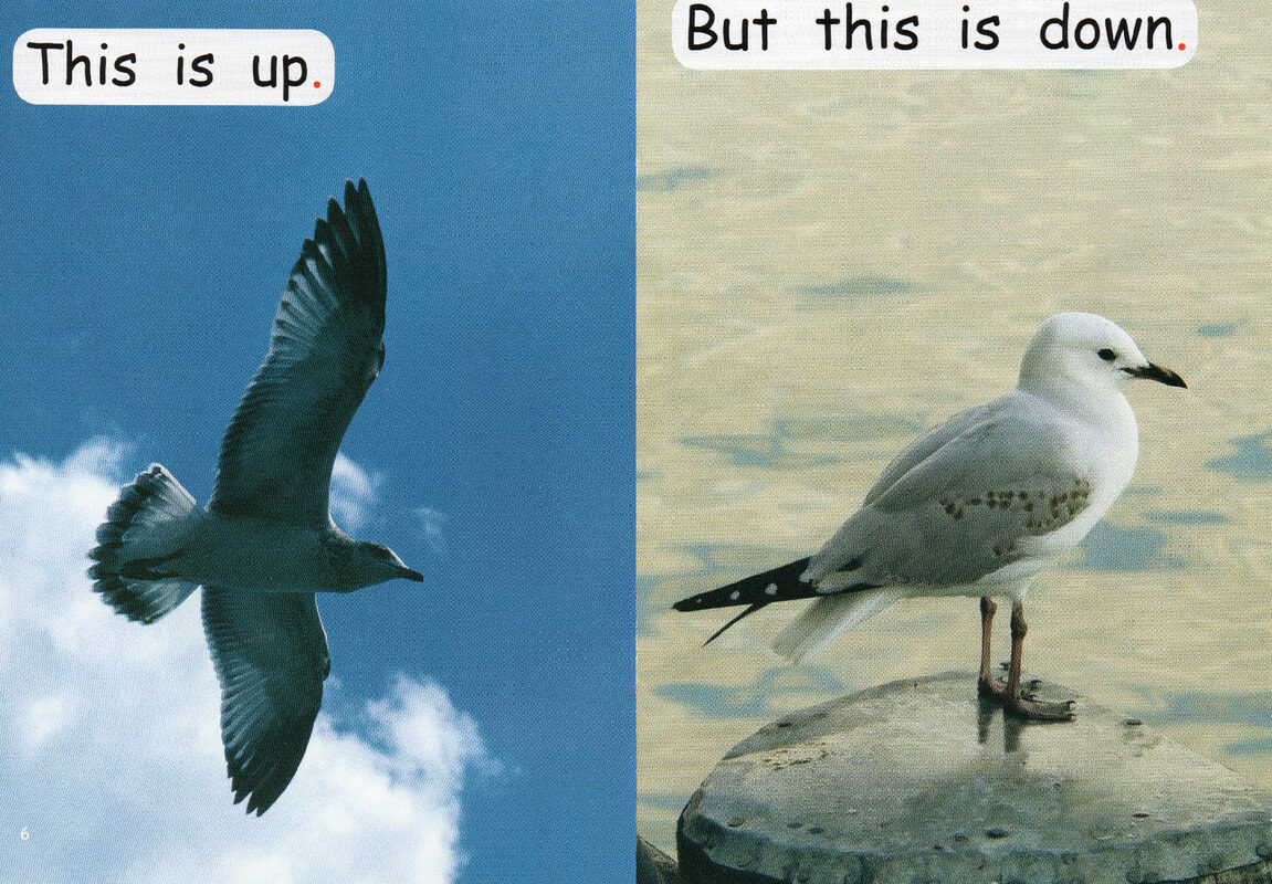 opposites绘本故事第5页