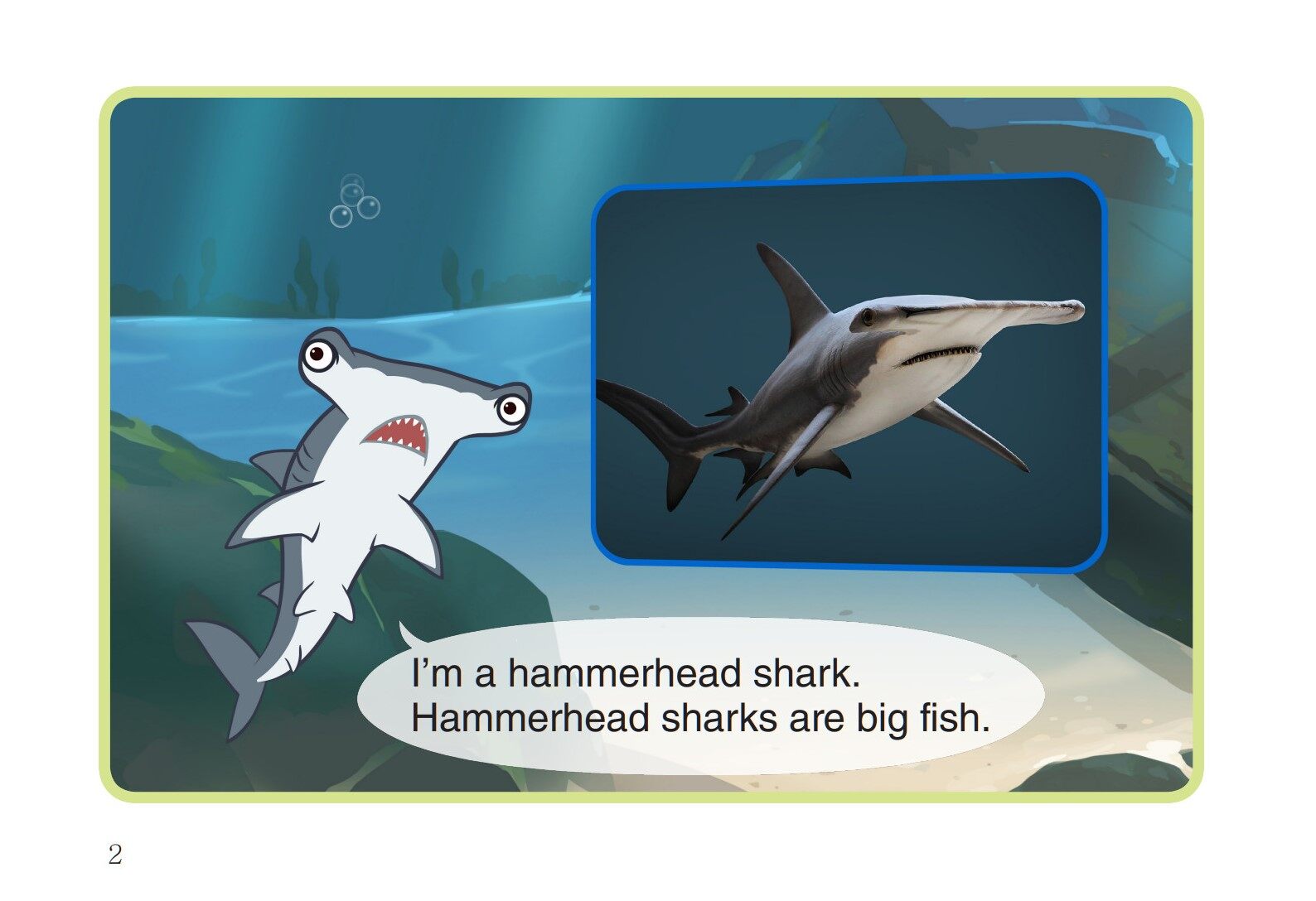Hammerhead Shark绘本故事第3页