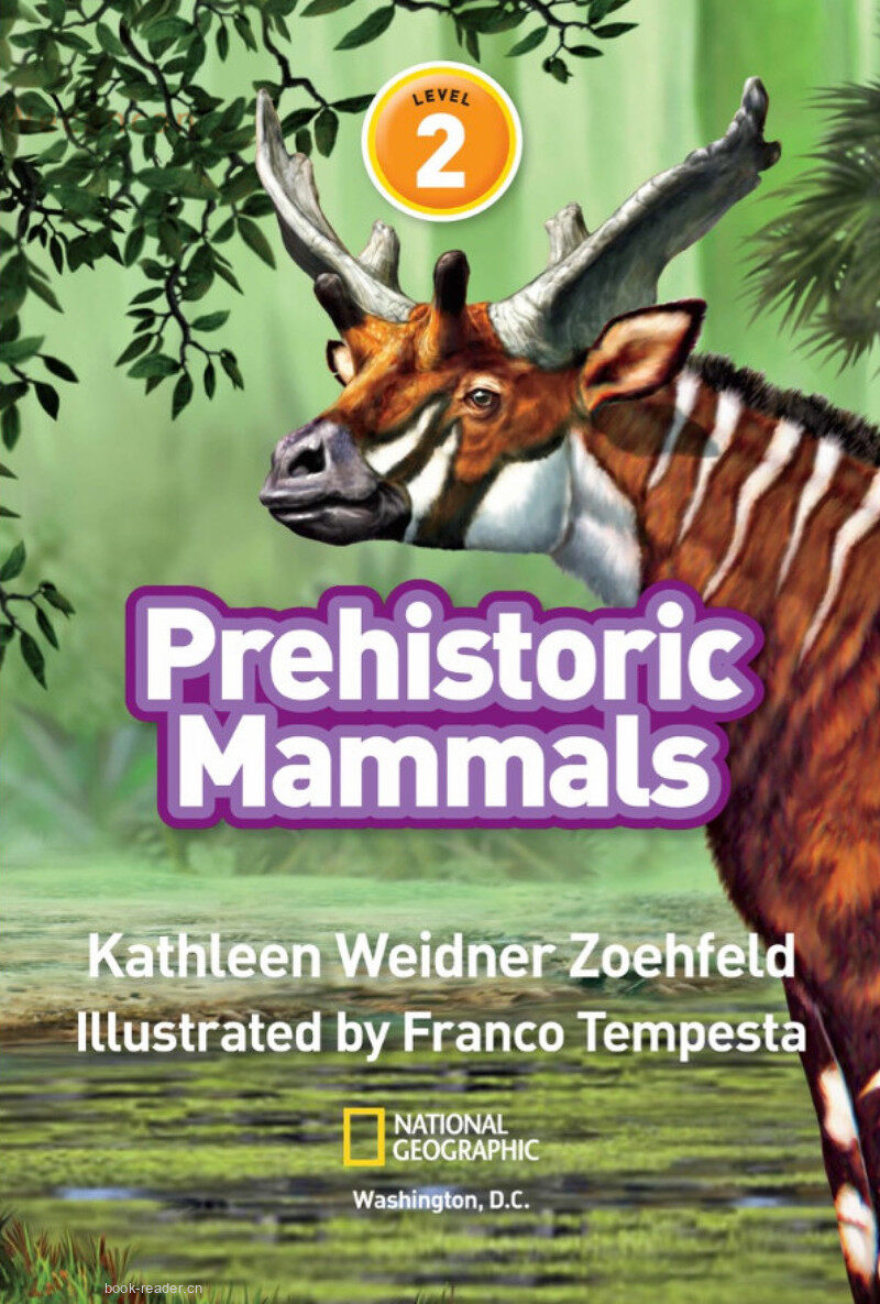 Prehistoric Mammals