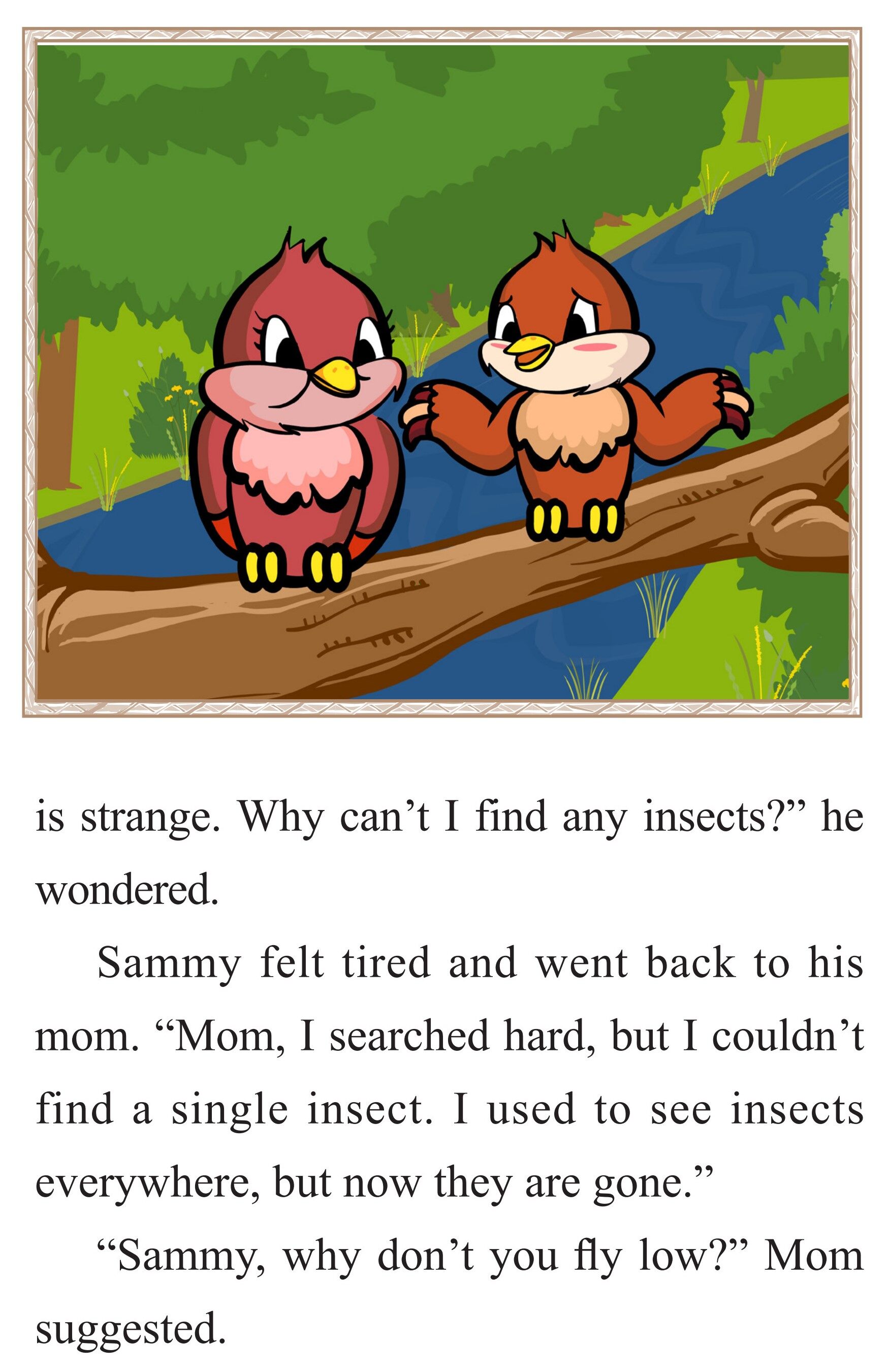 When Birds绘本故事第5页