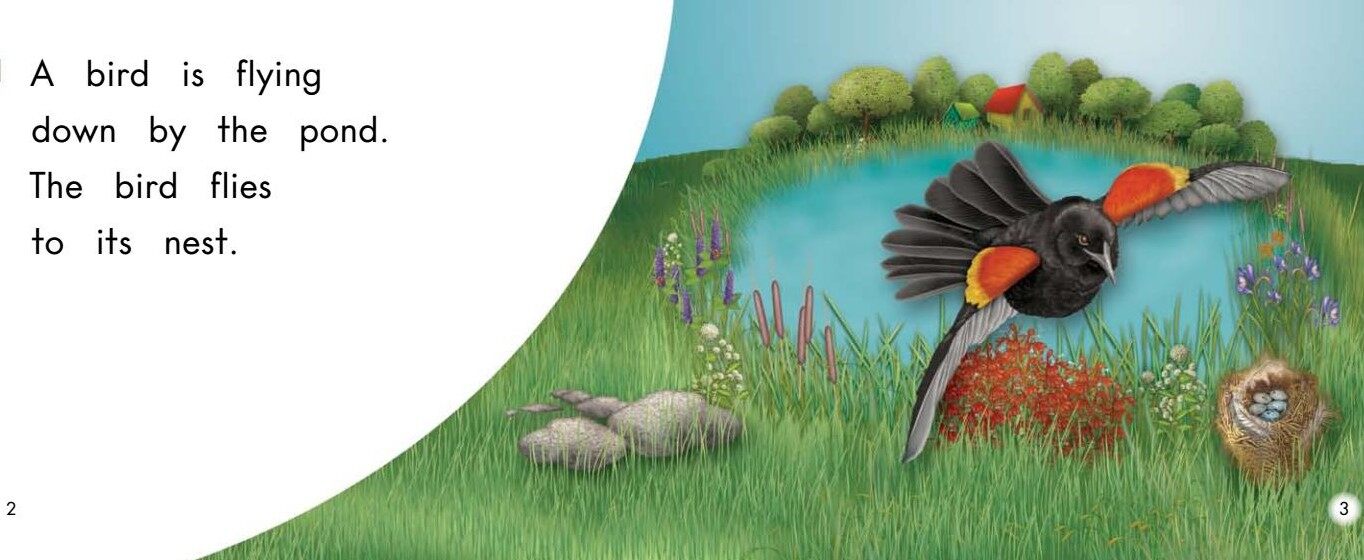 Down by the Pond绘本故事第3页