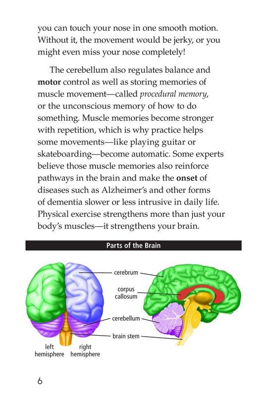 The Amazing Brain绘本故事第5页