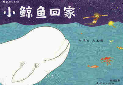 小鲸鱼回家