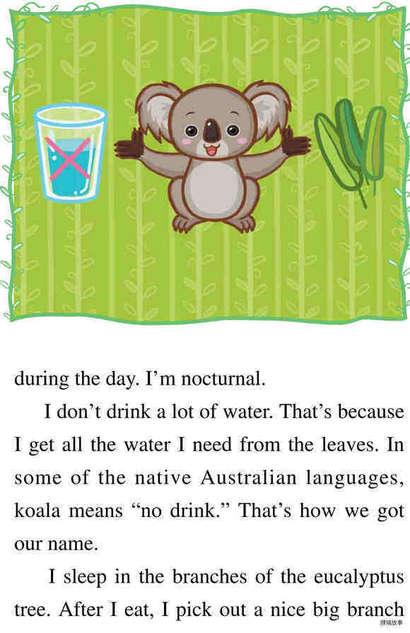 Baby Koala绘本故事第3页