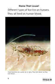 Lice Aren't Nice绘本故事第5页