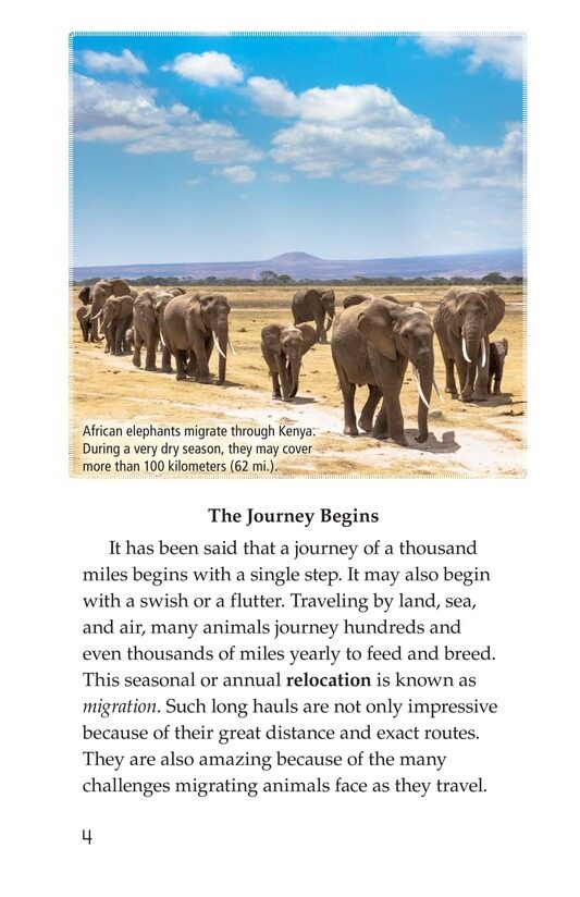 Amazing Migrations绘本故事第3页