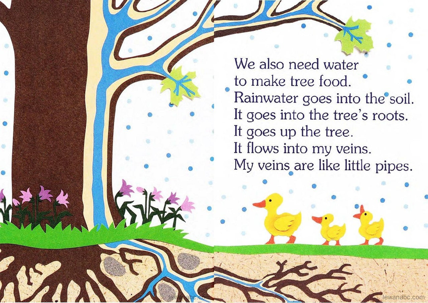 (36周)I Am a Leaf绘本故事第5页