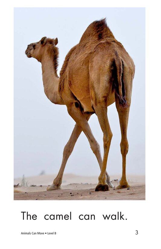 Animals Can Move绘本故事第3页