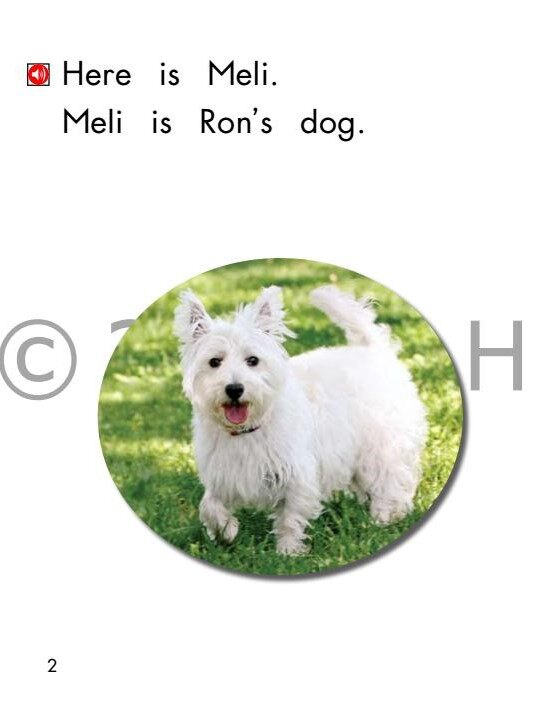 A walk with Meli绘本故事第3页