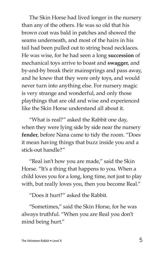 The Velveteen Rabbit绘本故事第5页