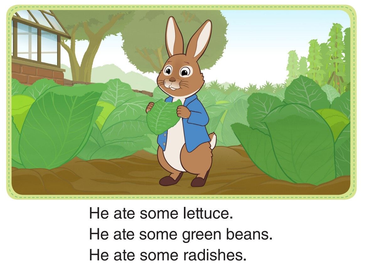 Into the Garden绘本故事第4页