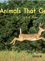 Animals that go fast