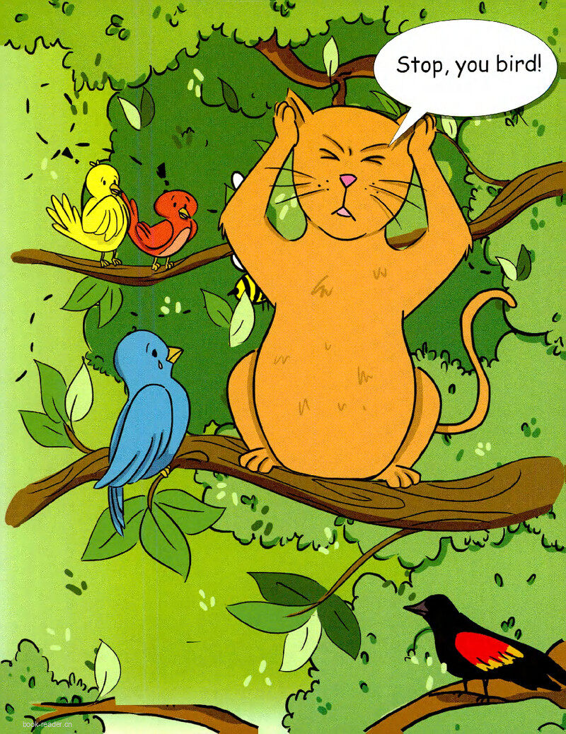 Birds of a Feather-1绘本故事第3页