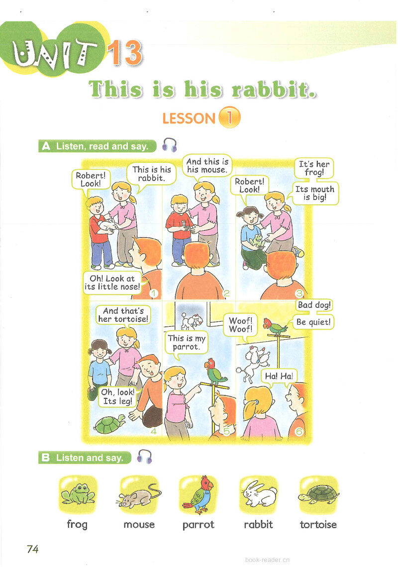 13 This is his rabbit绘本故事第2页