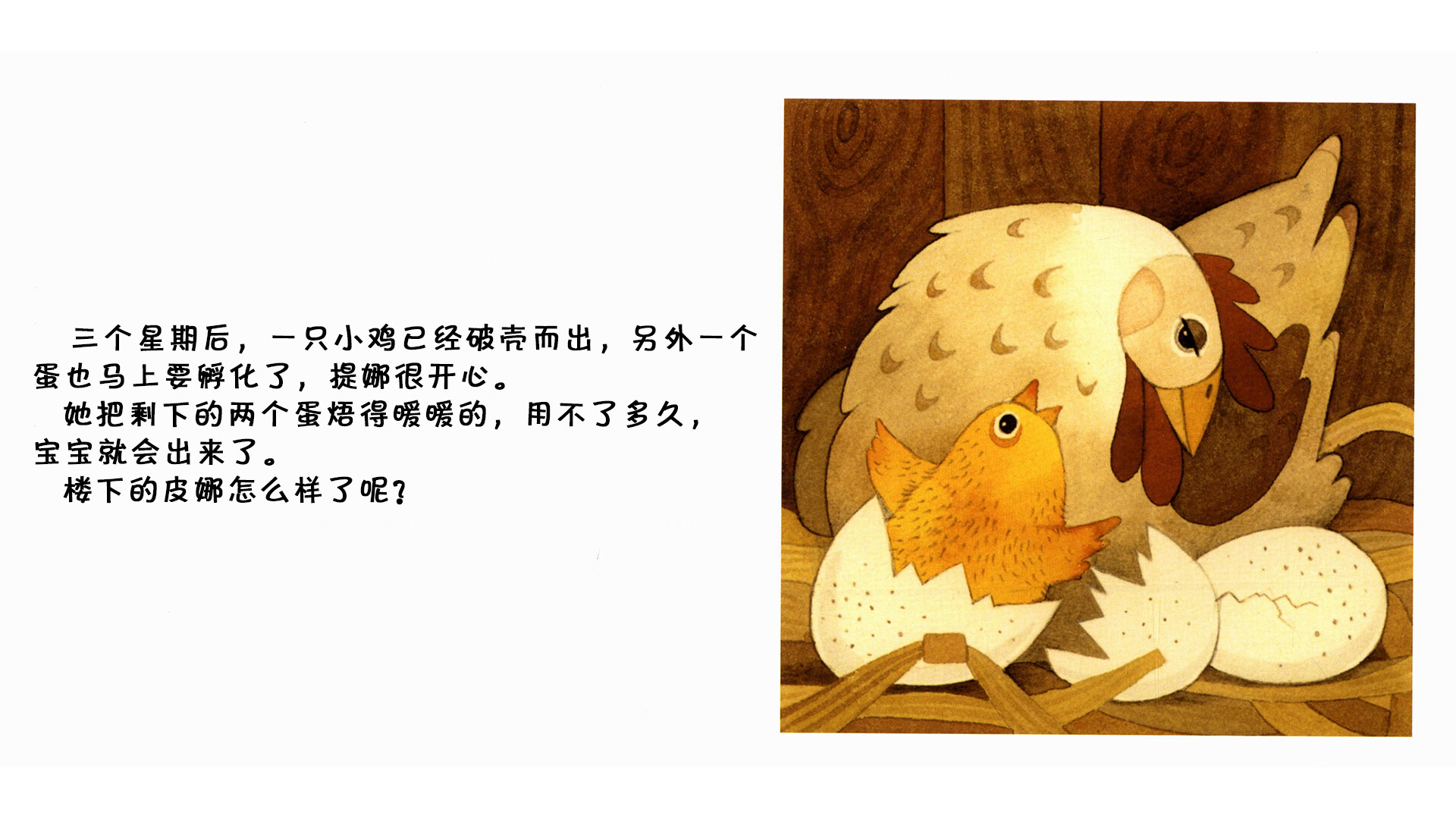 母鸡绘本故事第5页