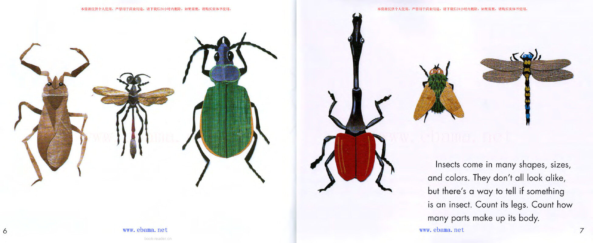 Bugs Are Insects绘本故事第4页