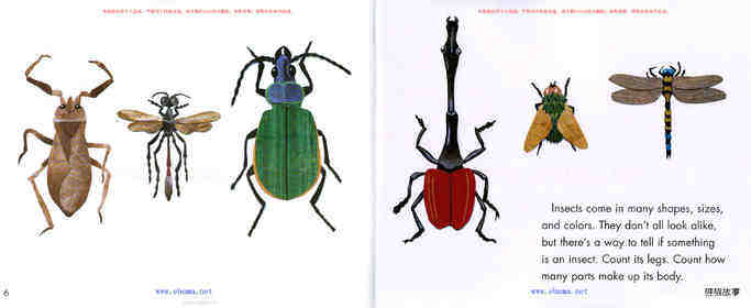 Bugs Are Insects绘本故事第4页