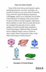 Gems Treasures from the Earth绘本故事第5页