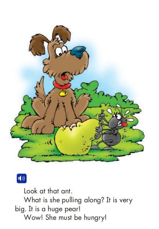 What the Dog Saw绘本故事第5页