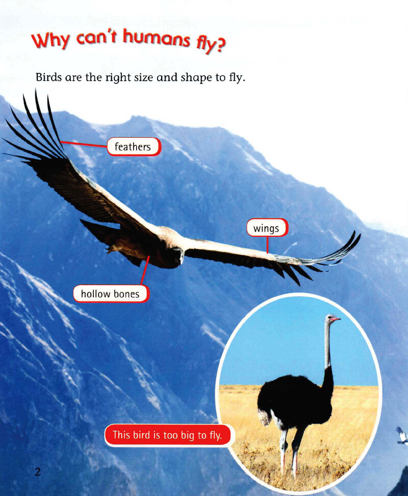 Why Can't Humans Fly绘本故事第3页