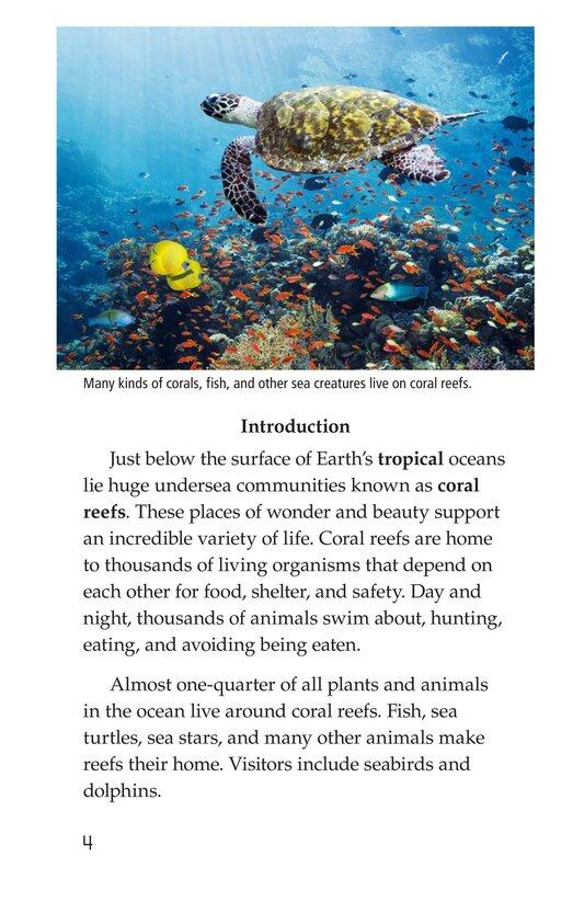 Coral Reefs绘本故事第3页