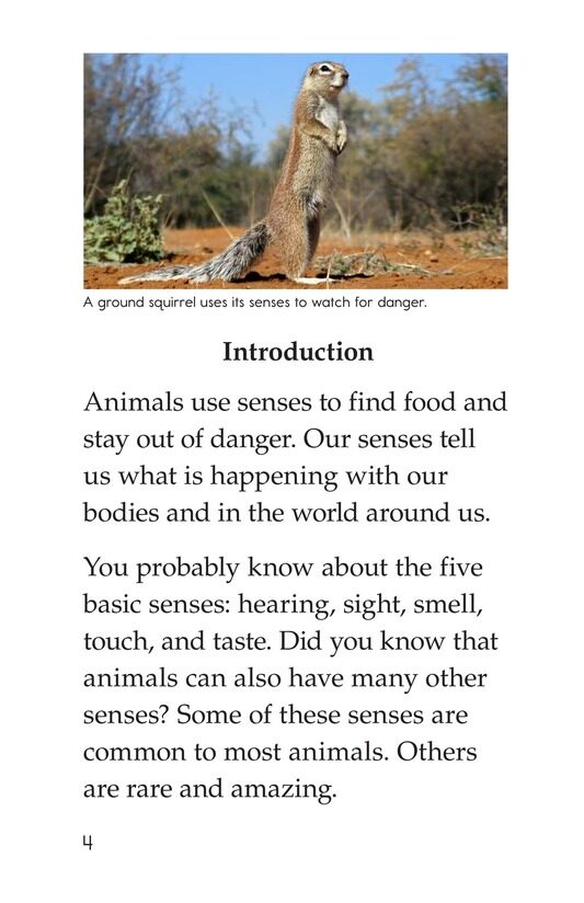 Beyond the Five Senses绘本故事第3页