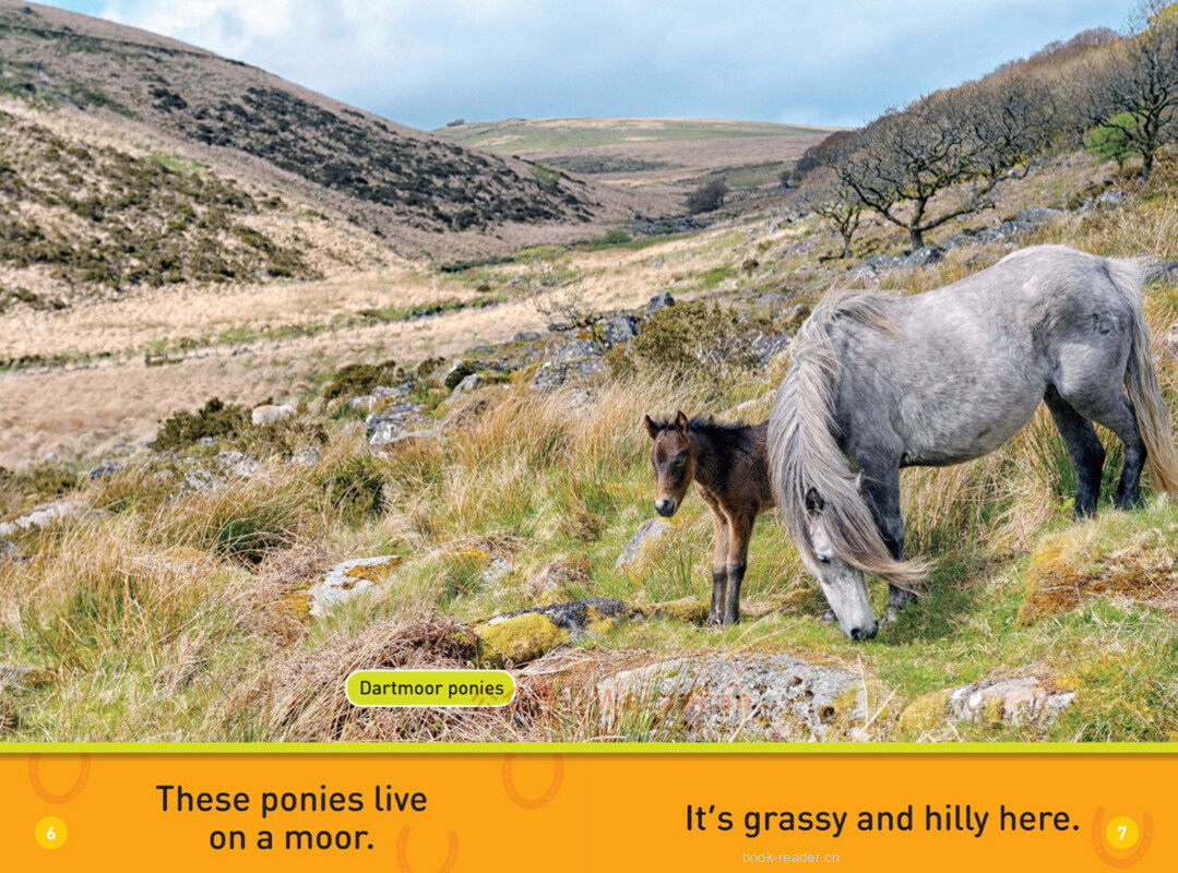 Trot Pony绘本故事第5页