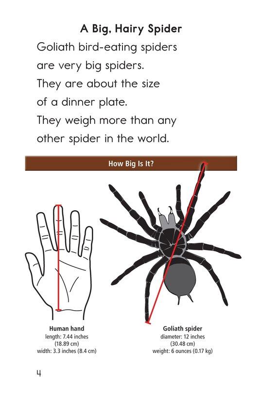 Goliath Bird-Eating Spiders Giant Arachnids绘本故事第3页