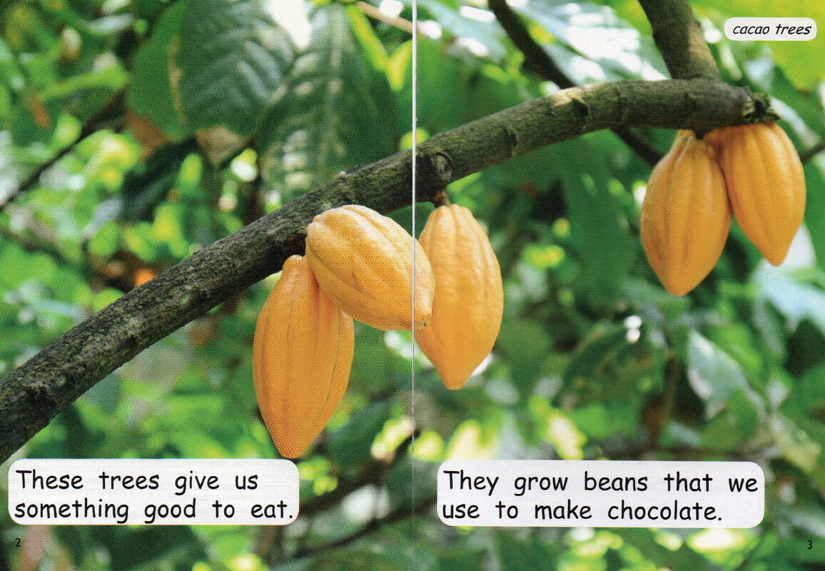 good things from trees绘本故事第3页