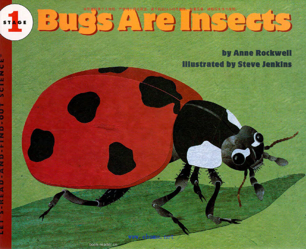 Bugs Are Insects绘本故事第2页