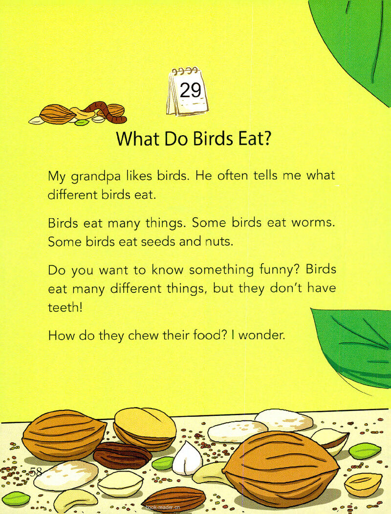 What Do Birds Eat?绘本故事第2页